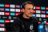 Niko Kovac : "Mes joueurs savent tout du Real Madrid" (bvb.de)